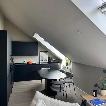 公寓 Modern Penthouse, Centrally Located At Bogstadveien 奥斯陆