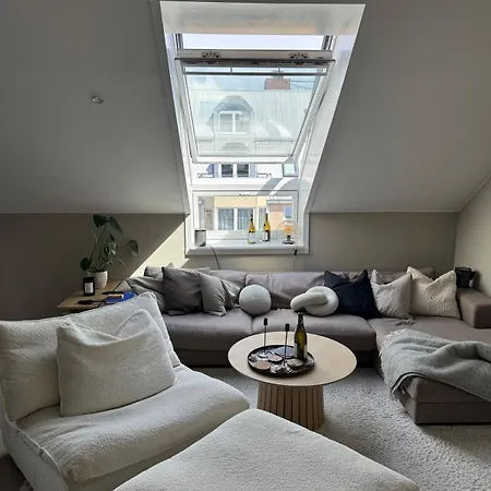 Appartement Modern Penthouse, Centrally Located At Bogstadveien *